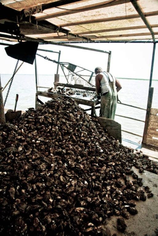 Gulf-Coast-Black-fisherman-mountain-of-oysters-aboard-by-Shawn-Escoffery-shawnescoffery.com_, Texas oil companies are attacking our communities with Prop. 23, News & Views 