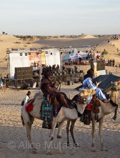 Festival-in-the-Desert-Mali-1209-by-c-Alice-Mutasa-web, Wanda’s picks for December 2010, Culture Currents 