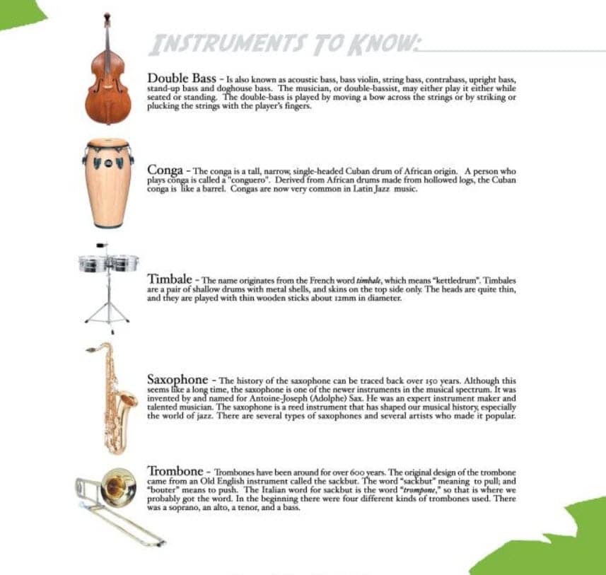 Ashti-and-Birdman-Al-resource-page-on-musical-instruments, ‘Ashti Meets Birdman Al’: Children’s book melds music and message, Culture Currents 