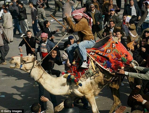 Egypt-camel-invades-Tahrir-Square-020211-by-Getty-Images, Egyptian blogger describes clashes, World News & Views 