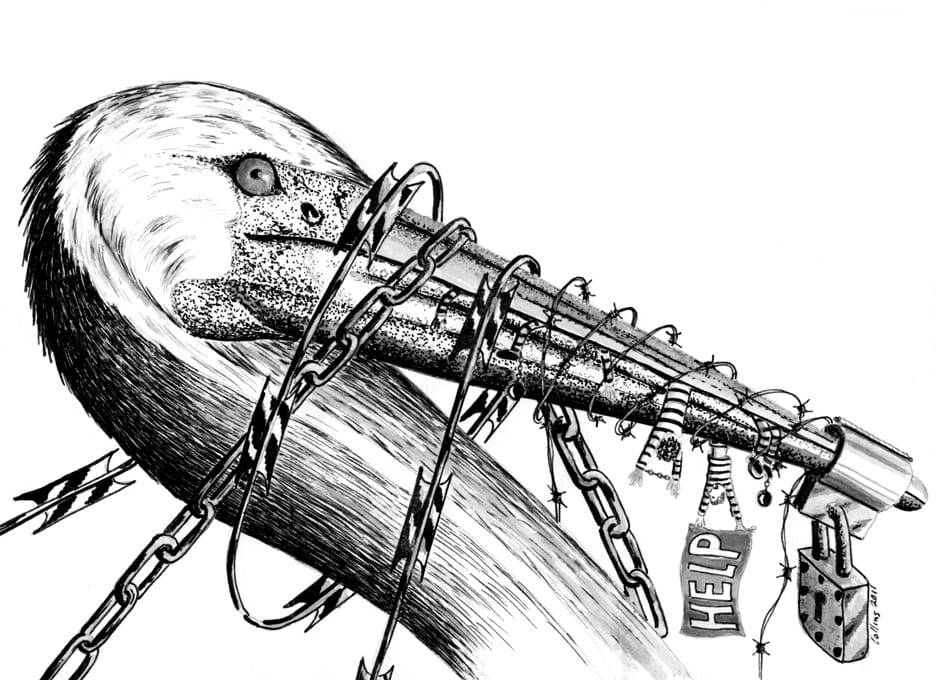Pelican-Bay-censored-pelican-drawing-by-Pete-Collins-imprisoned-at-Bath-Prison-Ontario-Canada-web, Hunger strike updates: Legislative hearing on Pelican Bay SHU tomorrow in Sacramento, Abolition Now! 