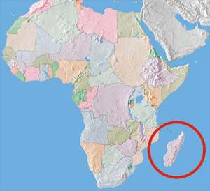 Madagascar-Africa-map, Wanda’s Picks for January 2012, Culture Currents 