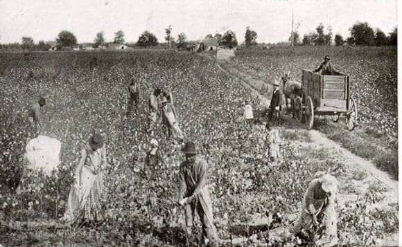 Forced-laborers-picking-cotton-Miss.-1880s-court-Slavery-by-Another-Name, ‘Slavery by Another Name’ premieres tonight on PBS, Culture Currents 