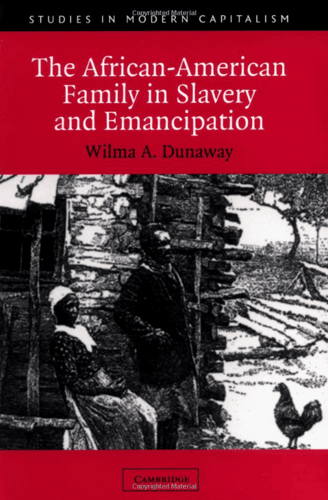 The-African-American-Family-in-Slavery-and-Emancipation-by-Wilma-A.-Dunaway-cover, The rich heritage of Africa in the West, Culture Currents 