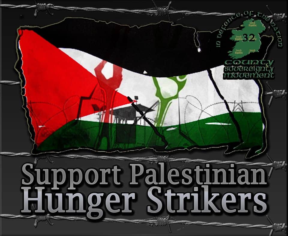 Support-Palestinian-Hunger-Strikers-graphic, Palestinian prisoners’ mass hunger strike concludes after agreement is reached, Behind Enemy Lines 