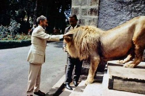 Emperor_Haile_Selassie_I_one_of_his_lions, The Rastafarians of San Quentin, Abolition Now! 