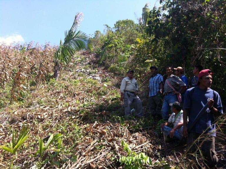 Belize-Territorial-Volunteers-on-Guatamala-Belize-border-040613, Belize Territorial Volunteers discover palm oil, cornfields encroaching on border, World News & Views 