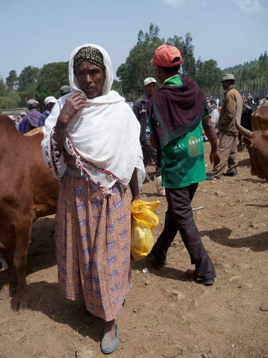Ethiopia-livestock-sale-Addis-Ababa-0613-by-Wanda, Wanda in Africa, World News & Views 
