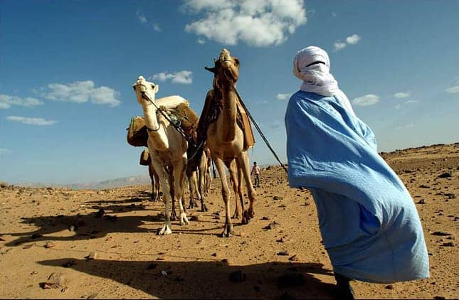 Tuareg-2-camels-in-southern-Libya-desert-0711, U.S.-NATO installed Libyan regime requests assistance from imperialist military alliance, World News & Views 