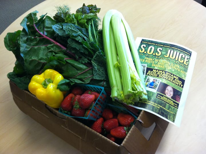 SOS-Juice-fresh-produce-box, Getting the ‘System Out of our System’: an interview wit’ AshEl Seasunz, Culture Currents 