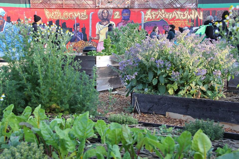 AfrikaTown-closeup-garden-mural-web, Cultivating resistance in AfrikaTown, West Oakland, Local News & Views 