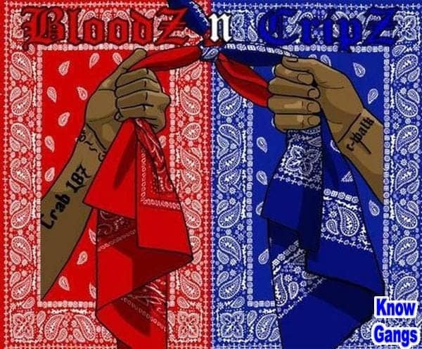BloodZ-n-CripZ-Know-Gangs, Struggle without sacrifice is useless, Behind Enemy Lines 