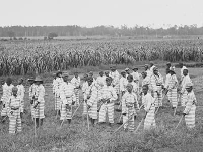 Convict-leasing-after-Civil-War, We must leave the crops in the field, Abolition Now! 
