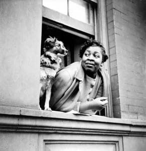 Woman-and-Dog-in-Window’-Harlem-1943-by-Gordon-Parks-291x300, Gordon Parks, genius at work, Culture Currents 