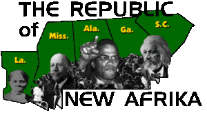 The-Republic-of-New-Afrika-graphic-300x164, NALC Rally Call, Abolition Now! 