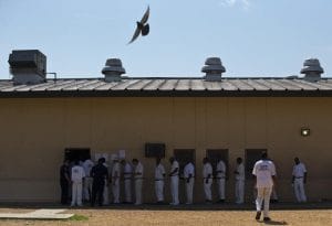 Elmore-CF-Alabama-prisoners-in-lunch-line-061815-by-Brynn-Anderson-AP-300x205, Prison labor strike in Alabama: ‘We will no longer contribute to our own oppression’, Abolition Now! 