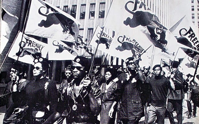 Image result for black panthers flag images