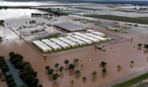 Evacuated-flooded-TDCJ-prison-Rosharon-by-David-J.-Phillip-AP-300x178, Harvey’s victims: Prisoners drink toilet water in a fight to survive under lockdown, Behind Enemy Lines 