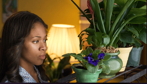 american-violet-nicole-beharie, Wanda’s Picks for May, Culture Currents 