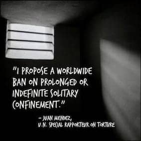 Juan-Mendez-quote-re-worldwide-ban-on-solitary, Solitary confinement, CDCR get slammed at legislative hearings; Ammiano files bill to limit solitary to 36 months, Abolition Now! 