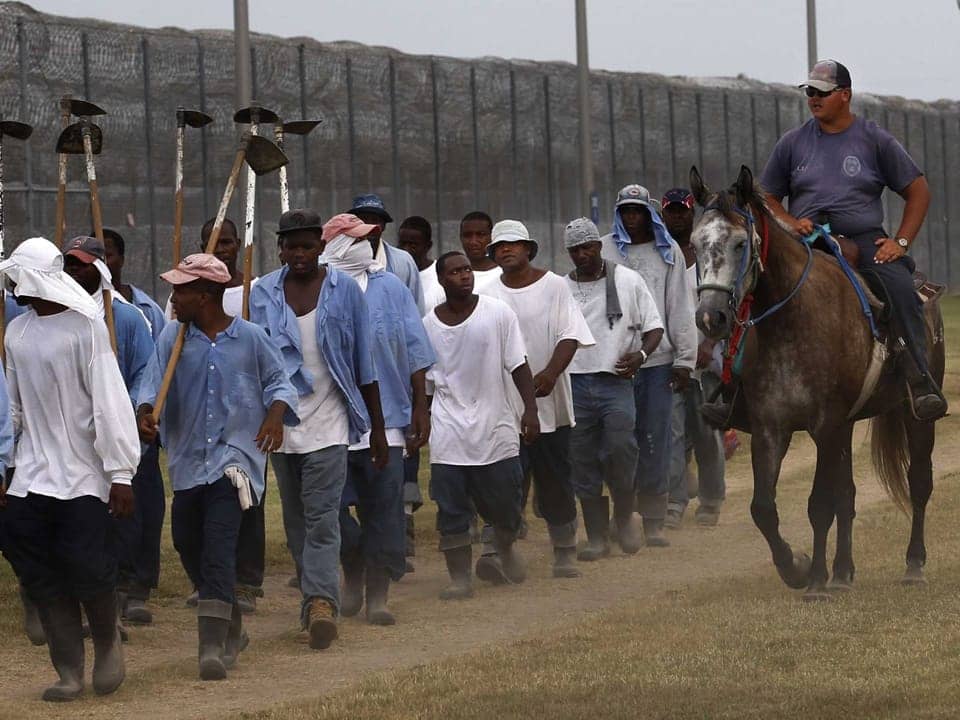 Angola-prisoners-return-from-farm-work-web, UN Human Rights Committee finds US in violation on 25 counts, News & Views 