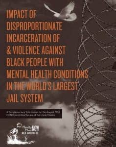 Dignity-Power-Now-UN-report-cover-0814-237x300, Exposing a national crisis in Black mental health behind bars, Abolition Now! 