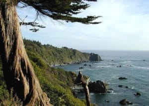Patrick-Point-Humboldt-County-ocean-redwoods-300x213, Hell in paradise: Visiting Hugo ‘Yogi’ Pinell at Pelican Bay State Prison, Abolition Now! 