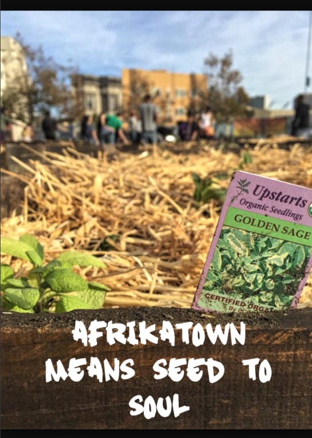 Afrikatown-means-seed-to-soil, Come to the Afrikatown Anti-Eviction Block Party on May 28, Local News & Views 