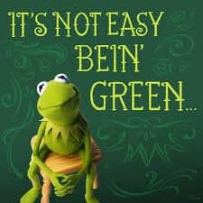 Its-not-easy-bein-green-w-Kermit, It isn’t easy being a Green Party candidate in a Democratic Party town, Local News & Views 