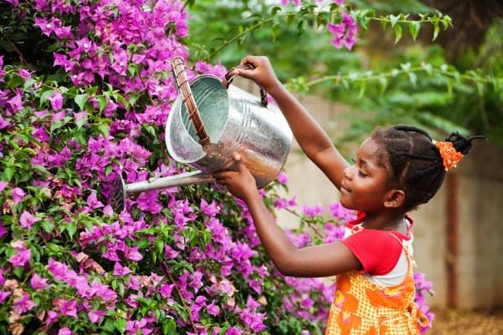 Lil-Black-girl-waters-flower-bush, How chores can help kids with ACES, Culture Currents 