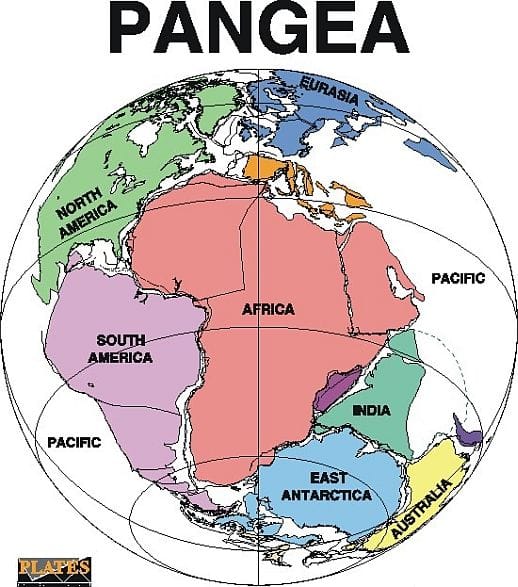 Pangea-supercontinent-map-pre-continental-drift, Our 2020 Vision: Make Africa Great Again, Culture Currents 