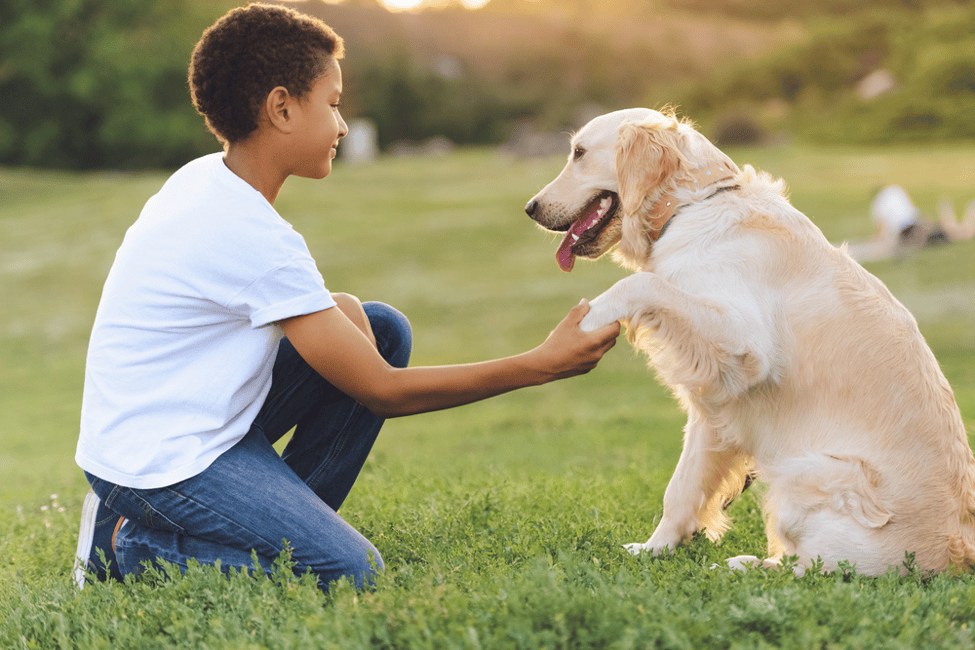 Black-boy-shakes-hands-with-white-dog, Pets Rx: How a furry companion can help protect kids against stress, Culture Currents 
