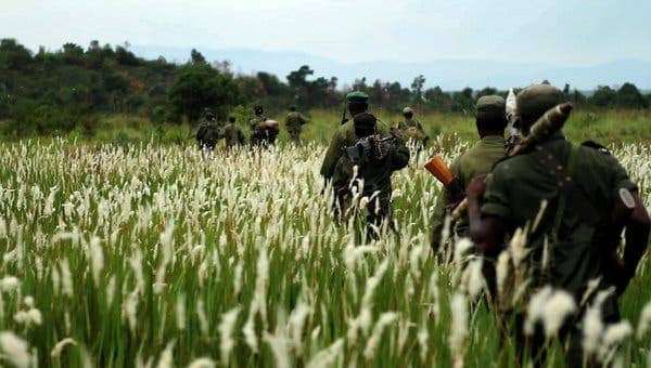 Virunga-National-Park-Congolese-rangers-on-armed-expedition, DRC’s Virunga: Park, gorillas and rangers all under attack, World News & Views 