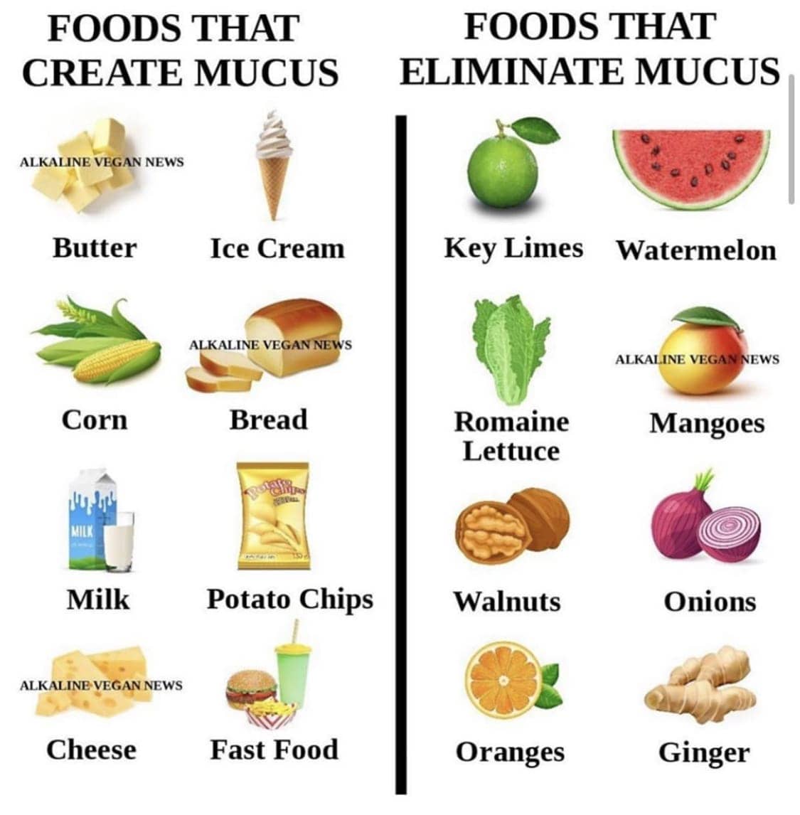 ‘Foods-that-create-eliminate-mucus’-graphic, TheJuiceMasters.com’s Will Gordon III: Battling COVID-19 on the frontline with fresh juice, Culture Currents 