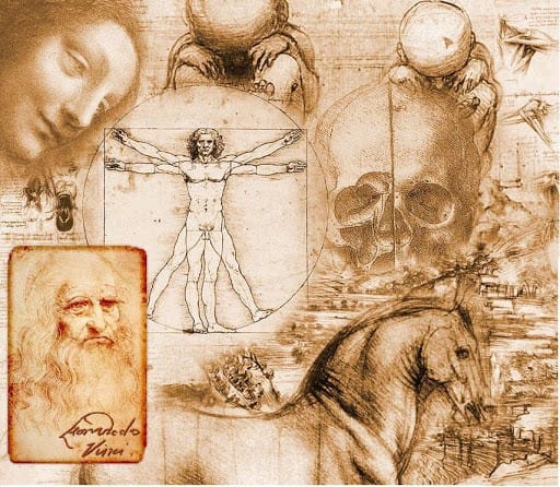 Leonardo-da-Vinci-sketches, The Hunters Point Community Biomonitoring Program is establishing cause and effect relationships between environmental toxins and expressions of disease, Local News & Views 