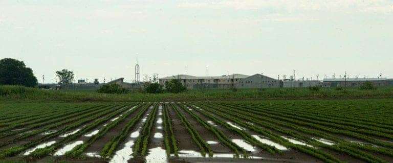 Ark.-Cummins-Unit-agricultural-field-by-Brian-Chilson, Hunters Point native Lee Foster describes life on 'The Farm,' an Arkansas prison, Abolition Now! 