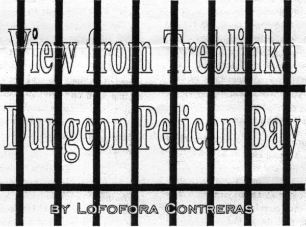 View-from-Treblinka-Dungeon-Pelican-Bay, View from Treblinka Dungeon Pelican Bay, Abolition Now! 