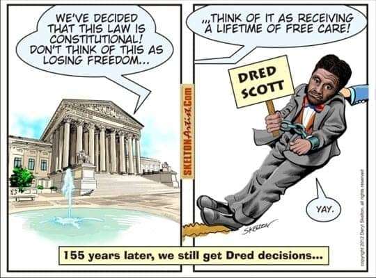 Dred-Scott-cartoon-art-by-Daryl-Skelton, A narrative of two American slaves, Abolition Now! 