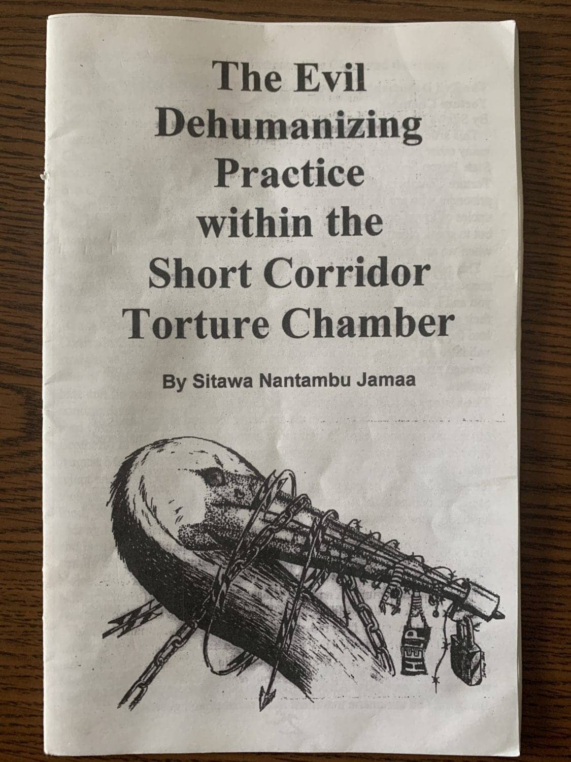 The-Evil-Dehumanizing-Practice-Within-the-Short-Corridor-Torture-Chamber-by-Sitawa-and-Mutope-booklet-cover, Liberate the Caged Voices, Behind Enemy Lines 