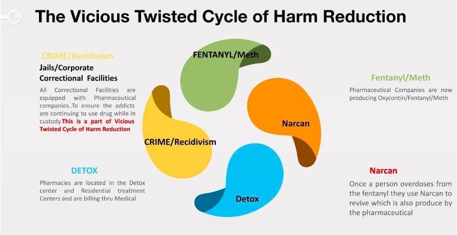 The-Vicious-Twisted-Cycle-of-Harm-Reduction-Positive-Directions-Equals-Change, How harm reduction is harming more than helping addicts, Culture Currents 