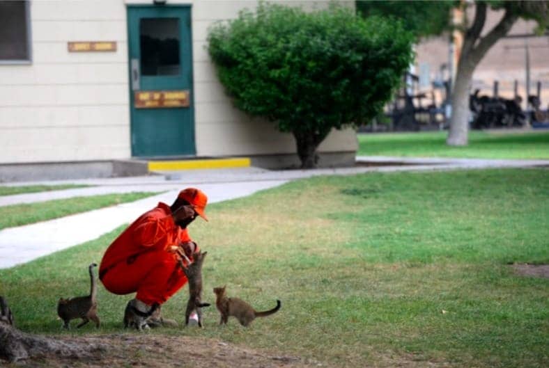 Man-feeding-cats-at-CDCR-Conservation-Camp-in-Chino-by-Jennifer-Cappuccio-Maher-Inland-Valley-Daily-Bulletin_SCNG-091018, Who’s making the rules? Time added to sentences for our brothers at the fire camp, Abolition Now! 