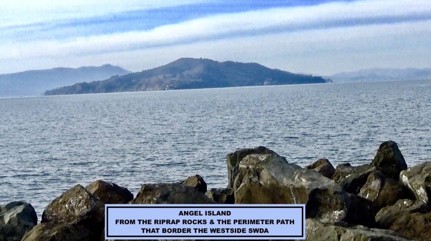 View-of-Angel-Island-from-Treasure-Island-riprap-rocks-permeter-path-bordering-Westside-SWDA-by-Carol-Harvey-1400x785, Fair warning: Part II, News & Views 