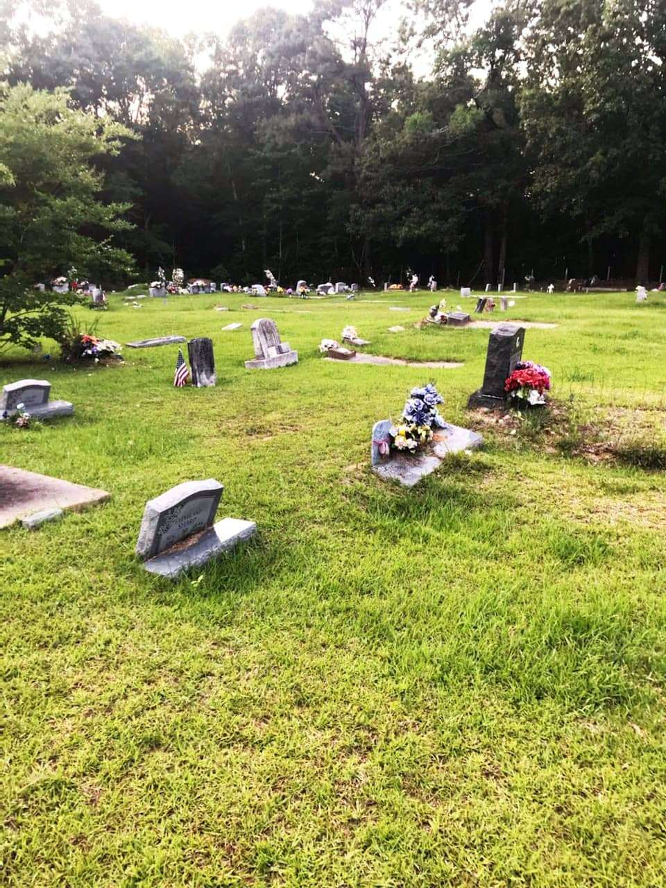 East-Liberty-Cemetery-includes-graves-from-1800s-051822-by-Liz-Ratcliff, Coming home to freedom in East Liberty, Culture Currents News & Views 