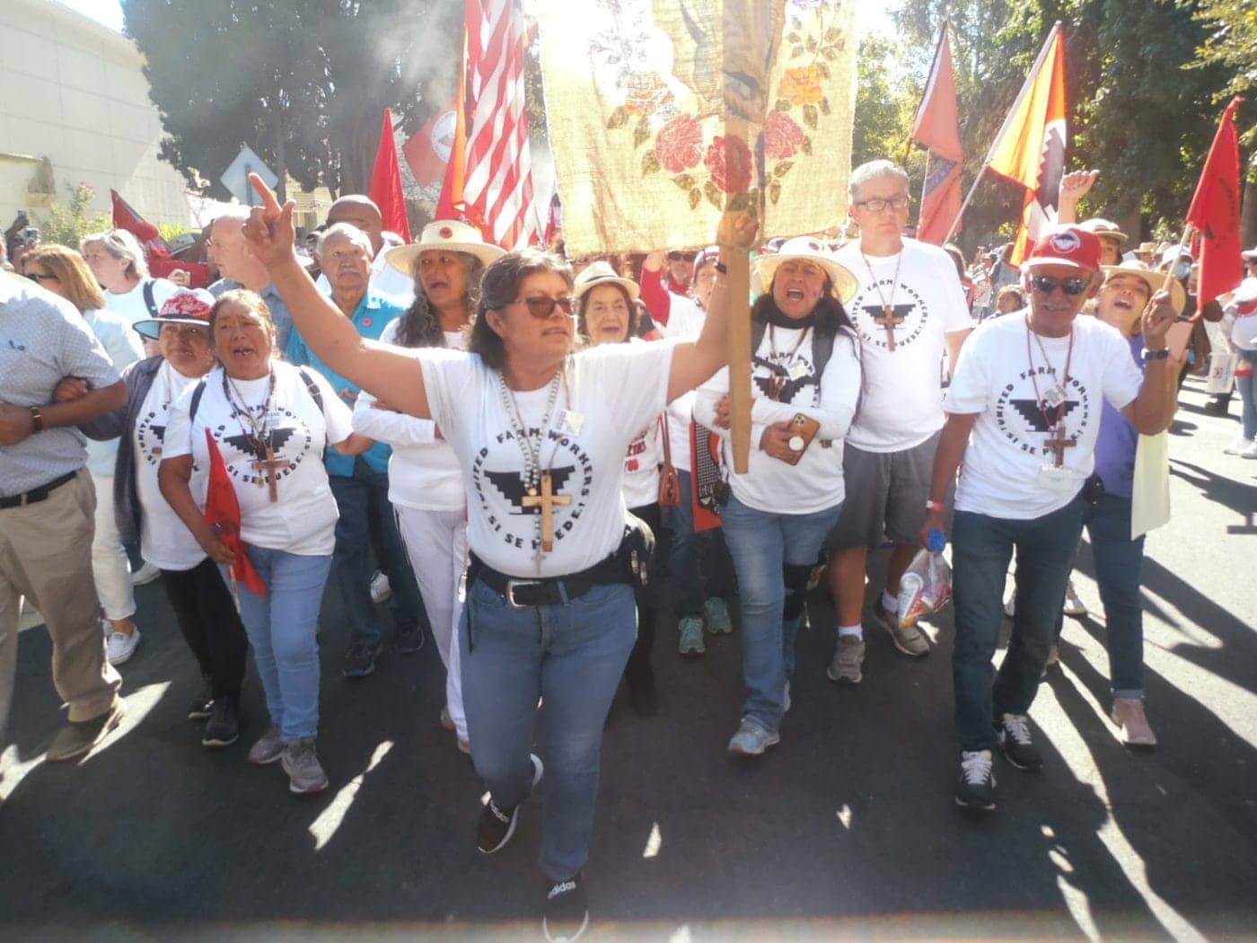 Dolores-Huerta-and-Teresa-Romero-UFW-march-0822-1400x1050, Sign the damn AB 2183 bill, Newsom!, Featured News & Views 