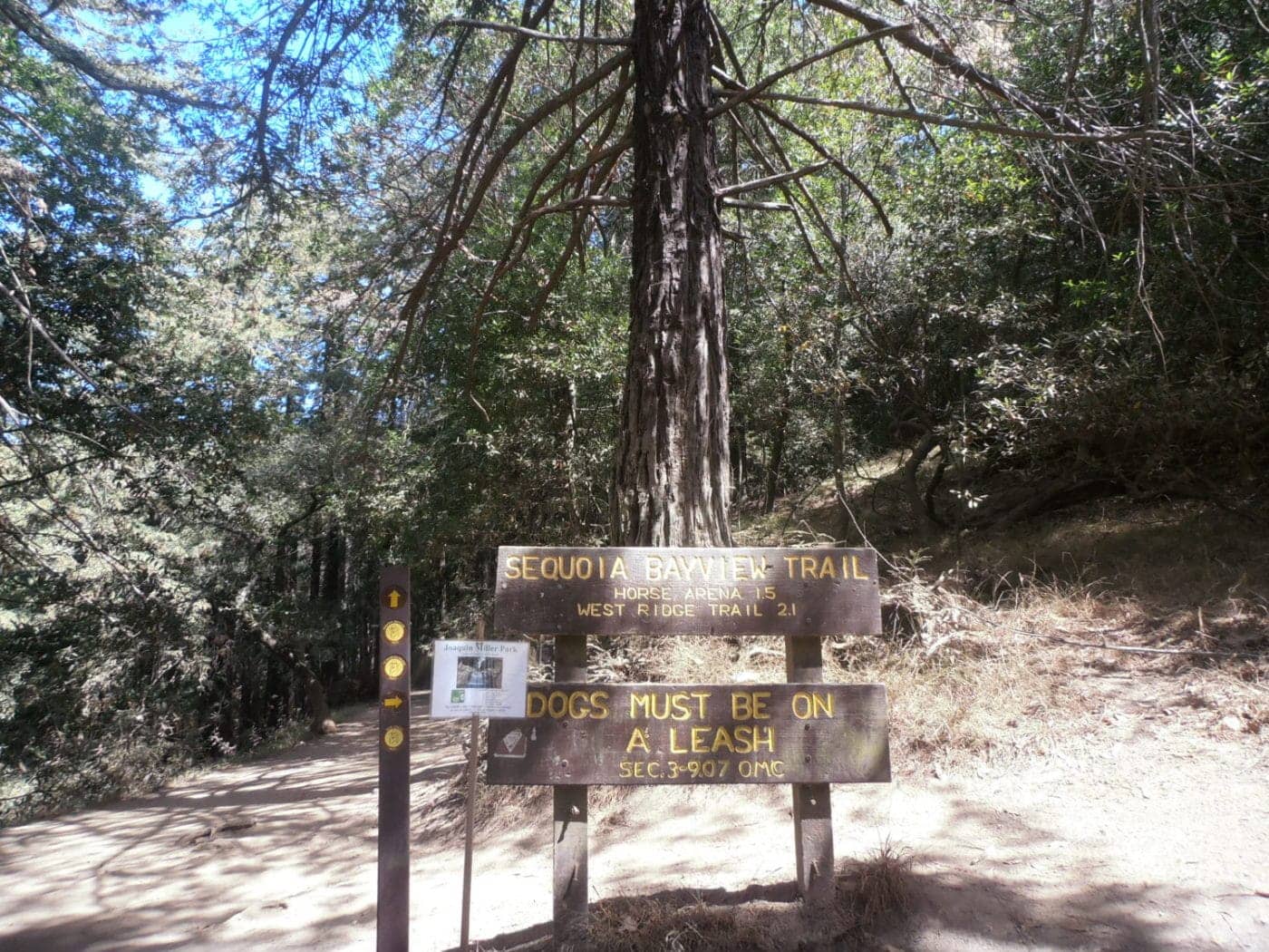 Trailhead-of-Redwoods-in-J.-Miller-Park-handed-over-to-Indigenous-People-by-Jahahara-2022-1400x1050, No mourning the criminal imperial(ist) monarchies!, Culture Currents 