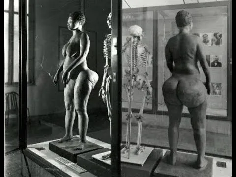 Sarah-Baartman-on-display, <strong>Steatopygia and the modern Venus</strong>, Featured Local News & Views World News & Views 