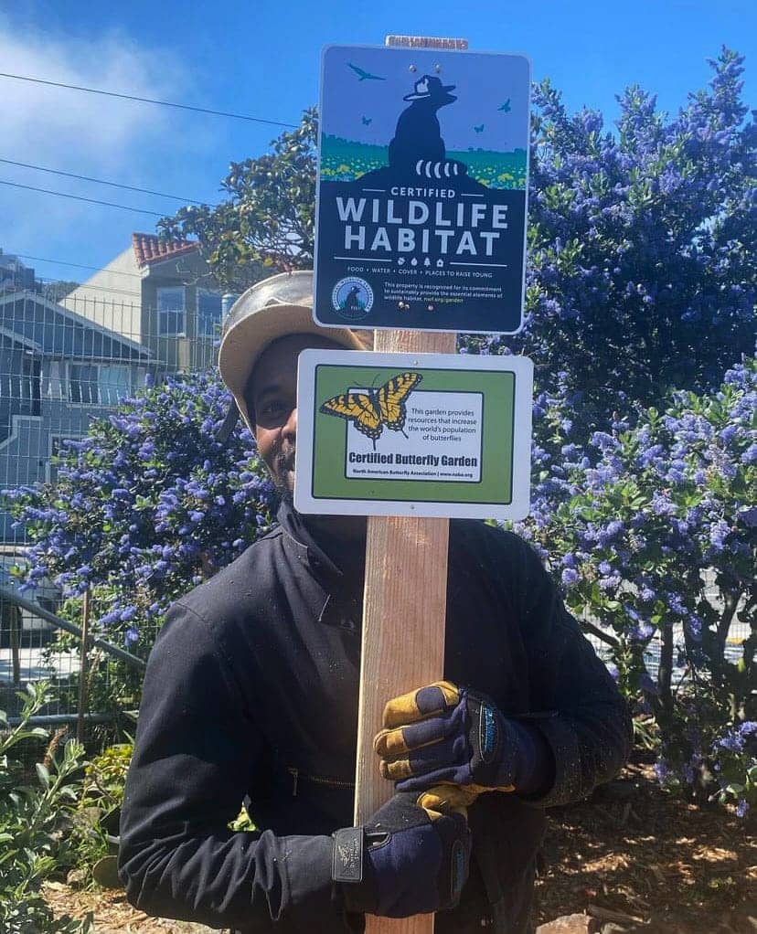 Isaiah-Powell-in-his-Calibird-Pollinator-Sanctuary-and-Food-Forest-garden-on-Palou-certified-as-a-Wildlife-Habitat-Butterfly-Garden, Bayview Hunters Point finally has its own farmers’ market – every Thursday, Featured Local News & Views 