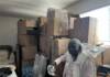 leela-molex-e1755642346341-100x70, Home, World News & Views 