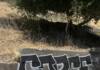photo-of-sorce-on-concrete-100x70, Home, World News & Views 