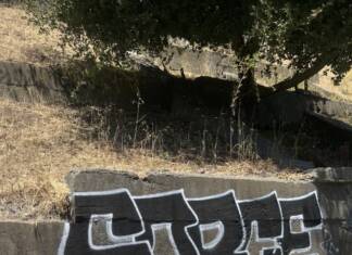 photo-of-sorce-on-concrete-324x235, Home, World News & Views 